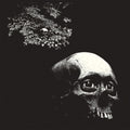 the album cover for Osees - Foul Form