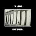 the album cover for Gilla Band - Most Normal [LP]