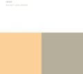 the album cover for Alva Noto & Ryuichi Sakamoto - Revep