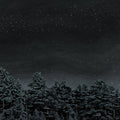 the album cover for Besnard Lakes - Besnard Lakes Are The Prayers For The Death Of