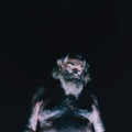 the album cover for Nothing - Great Dismal (Can)