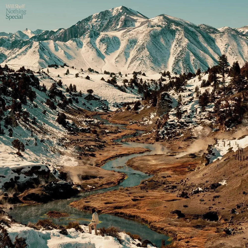 the album cover for Will Sheff - Nothing Special [Eco Mix/Recycled Color LP]