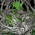 the album cover for Worm - Gloomlord