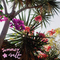 the album cover for Summer Salt - Campanita [Colored Vinyl] (Pnk)