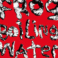 the album cover for DIIV - Frog In Boiling Water [Limited Edition Indie Exclusive Green LP]