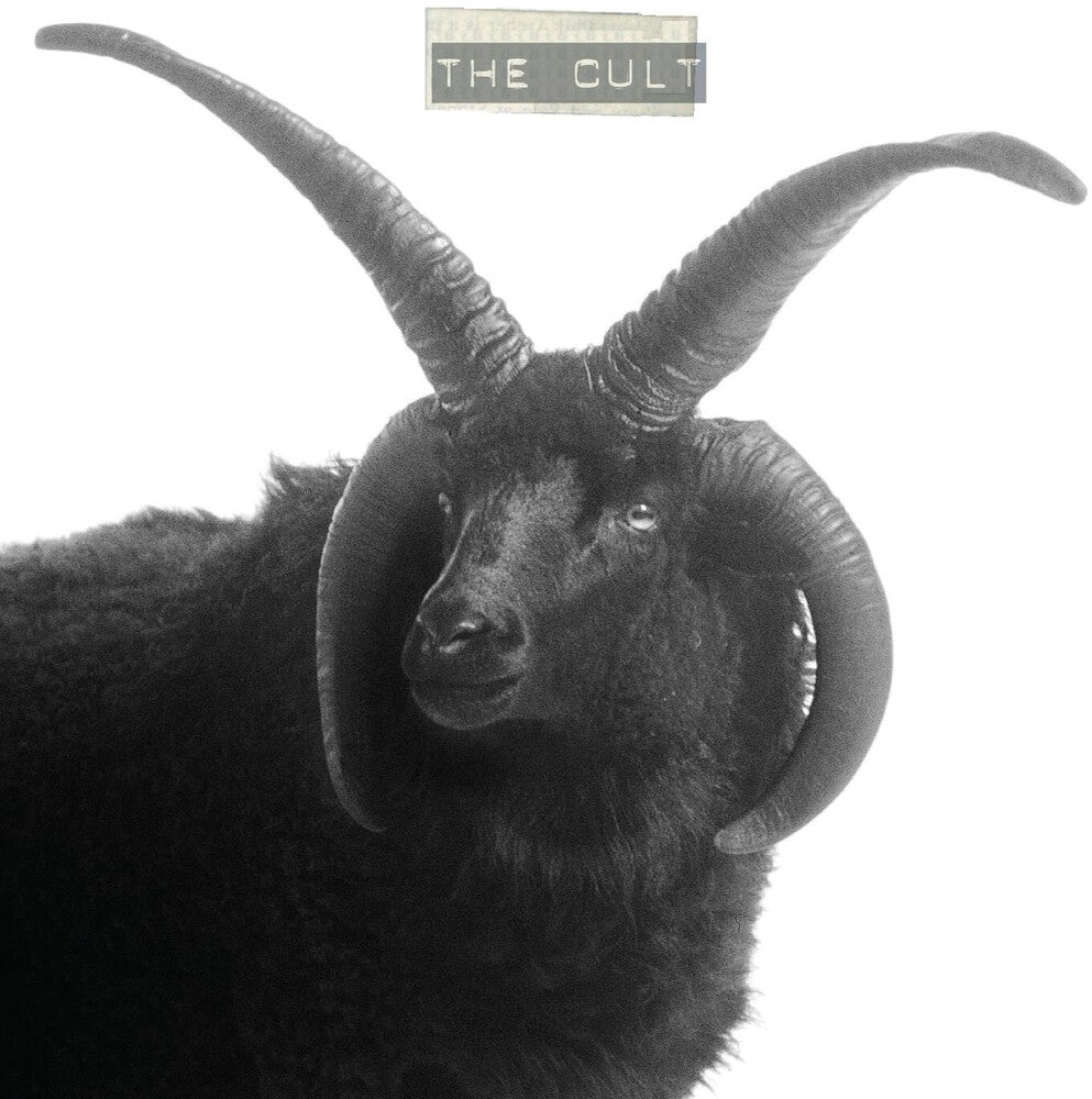 the album cover for The Cult - The Cult [Indie Exclusive Limited Edition White LP]