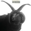the album cover for The Cult - The Cult [LP]