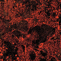 the album cover for King Gizzard & The Lizard Wizard - Murder Of The Universe (Live At Red Rocks 2022)