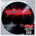 the album cover for Deliverance - Deliverance (Pict)