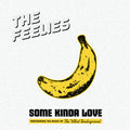 the album cover for Feelies - Some Kinda Love: Performing Music Of The Velvet