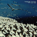 the album cover for Thinking Fellers Union Local 282 - These Things Remain Unassigned (Gate) [With Booklet] [Remastered]