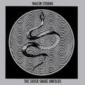 the album cover for Wailin Storms - Silver Snake Unfolds (Blk) (Blue) [Colored Vinyl]