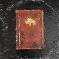 the album cover for Apollo Brown  & Che' Noir - As God Intended... (Brwn) [Colored Vinyl]