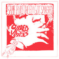 the album cover for Guided By Voices - Same Place The Fly Got Smashed