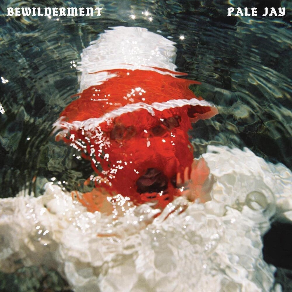 the album cover for Pale Jay - Bewilderment [Colored Vinyl] (Grn)