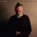 the album cover for Fink - Beauty In Your Wake (W/Book) (Blk)