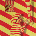 the album cover for Luke Temple  & The Cascading Moms - Certain Limitations