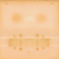 the album cover for Dr. Dog - Dr. Dog [LP]