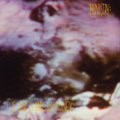 the album cover for Ministry - Land Of Rape And Honey [Deluxe] (Bme)