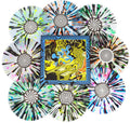 the album cover for King Gizzard &amp; The Lizard Wizard -  Live at Forest Hills Stadium '24 [8 LPs Splatter vinyl]
