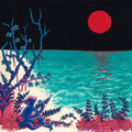 the album cover for glass beach - the first glass beach album [Import Clear LP]