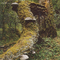 the album cover for Jan Jelinek - Kosmischer Pitch