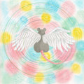 the album cover for Semones, Mei - Animaru