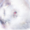 the album cover for Glixen - She Only Said [Colored Vinyl] (Red)