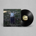 the album cover for Mj Lenderman / Wednesday - Guttering