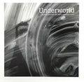 the album cover for Underworld - Barbara Barbara We Face A Shining Future