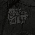 the album cover for Temple of the Fuzz Witch - Temple Of The Fuzz Witch