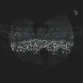 Enter The Wu-Tang (36 Chambers) - Live From N.Y.
