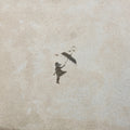 the album cover for Lydia - Illuminate (She Saved Me) - Milky Clear [Colored Vinyl]