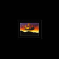 the album cover for Olivia Tremor Control - Explanation Ii: Instrumental Themes And Dream