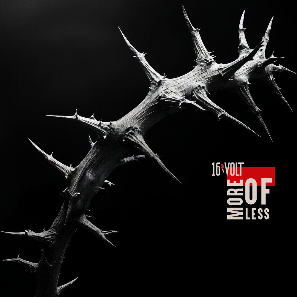 the album cover for 16Vol - More Of Less