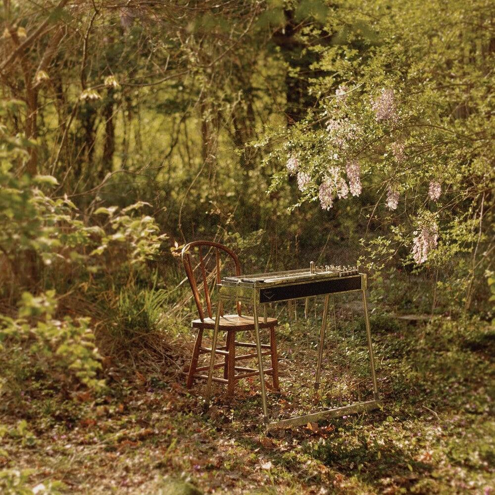 the album cover for Luke Schneider - For Dancing In Quiet Light