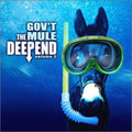 the album cover for Gov't Mule - Deep End 2