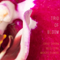 the album cover for Trio Of Bloom - Trio Of Bloom
