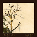 the album cover for Glass Hours - Chapel Glass