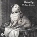 the album cover for Pavlovs Dog - Prodigal Dreamer