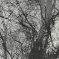 the album cover for Grouper - Way Their Crept [Reissue]