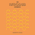 the album cover for Umberto Echo - Afrodub Experience