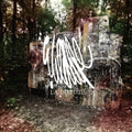 the album cover for La Dispute - Wildlife