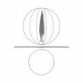 the album cover for Stephen O'malley - Spheres Collapser