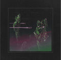 the album cover for Wolfmother - Rock'n'roll Baby [Digipak]