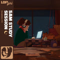 the album cover for Various Artists - 5 A.M. Study Session [Colored]