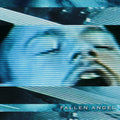 the album cover for Brandy Dalton - Fallen Angel