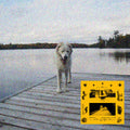 the album cover for Jaguar Sun - Daisy (Blk) [Colored Vinyl] (Ylw)