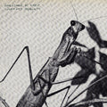 the album cover for Courtney Barnett - Creature of Habit [Indie Exclusive Caramel]