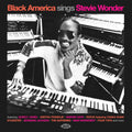 the album cover for Black America Sings Stevie Wonder / Various (Uk) - Black America Sings Stevie Wonder / Various (Uk)